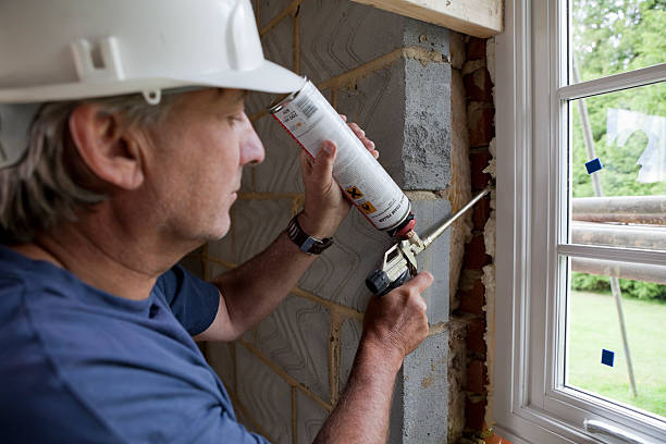 Best Insulation Removal  in Lake Mawk, OH